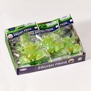 TYPP-FROG-20_DISPLAY2