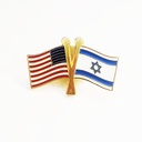 Israel & USA Flag Die-Cast Metal and Enamel Pin