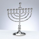 Traditional Polished Silvertone Menorah